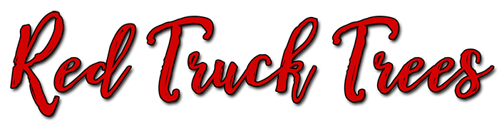 white rock web design south surrey red truck trees
