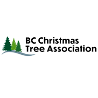 BC Christmas Tree Association Reactive Designs Website Design Moose Jaw