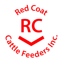 Clients 24 Red Coat Cattle Feeders Reactive Designs Website Design Hazenmore Saskatchewan