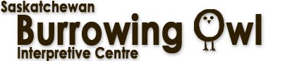 Saskatchewan Burrowing Owl Interpretive Centre -  Moose Jaw - Logo Design