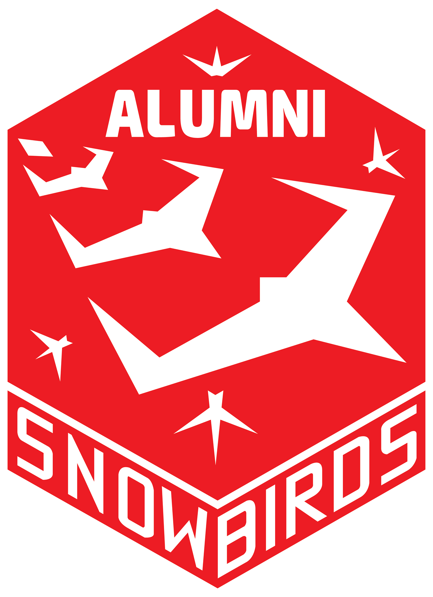 Graphic Design 18 Snowbirds Alumni - Moose Jaw - Logo Design
