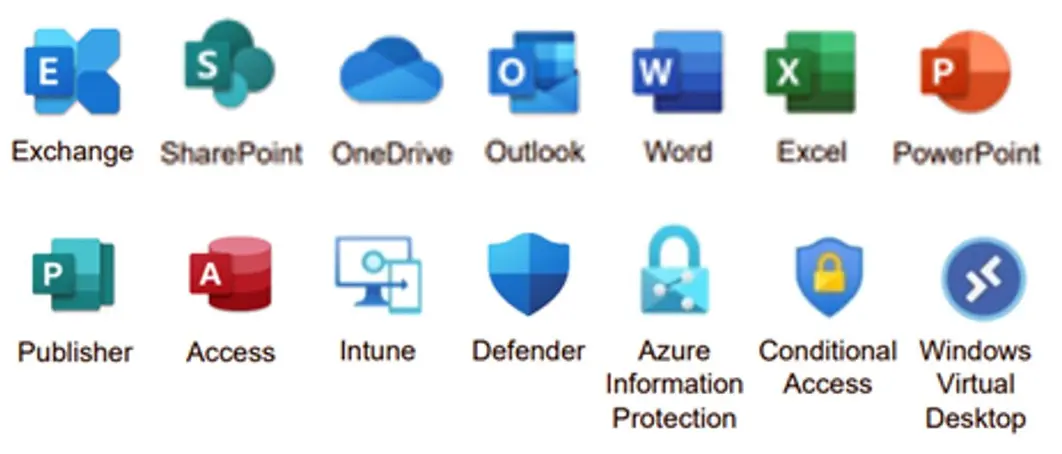 Moose Jaw Office 365 Business Email a group of icons with text
